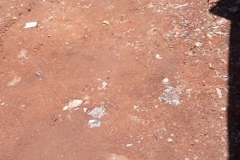 PHOTO-2019-03-09-18-49-20