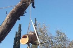 PHOTO-2019-03-15-12-47-46