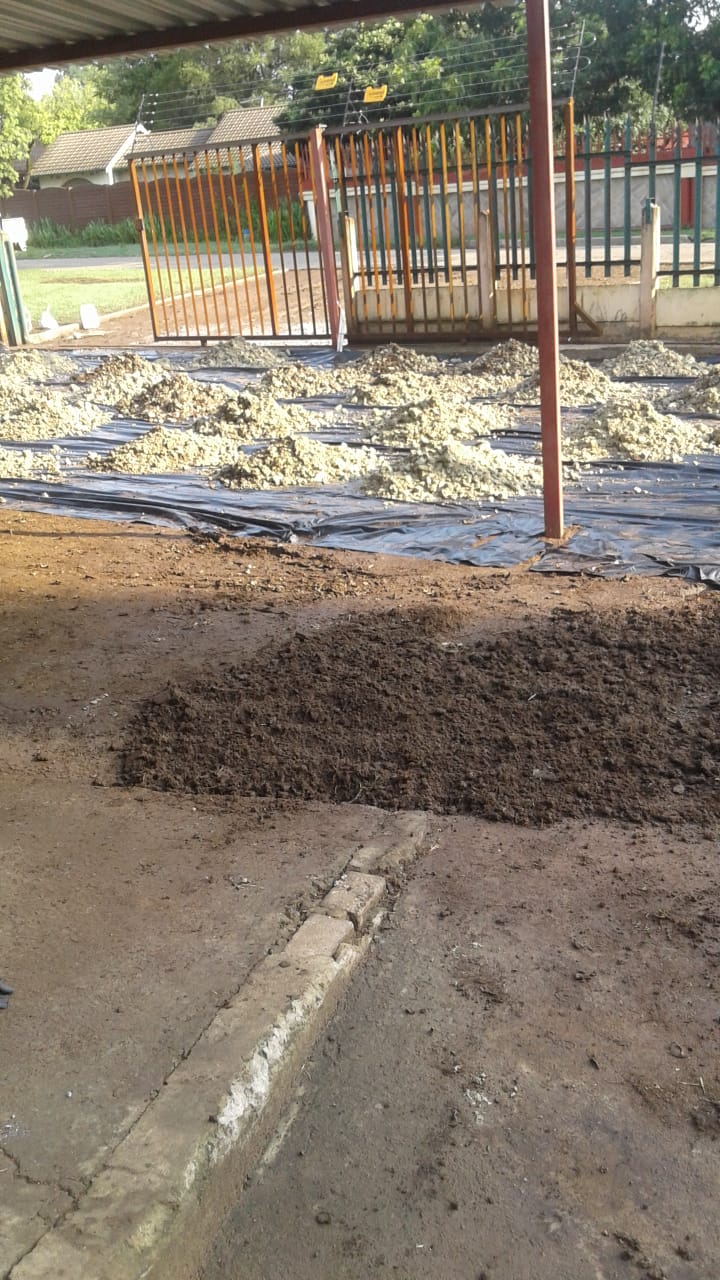 PHOTO-2019-03-15-12-43-55_1